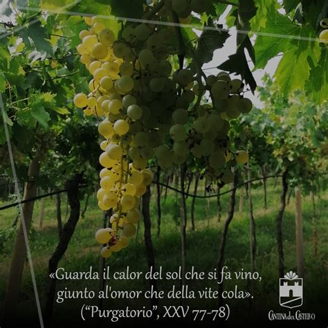 L’autunno è alle porte, la vendemmia...